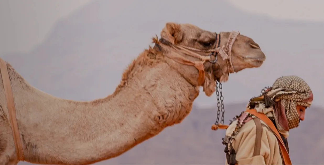 Islamic Relief UK scheduled donations journey preview